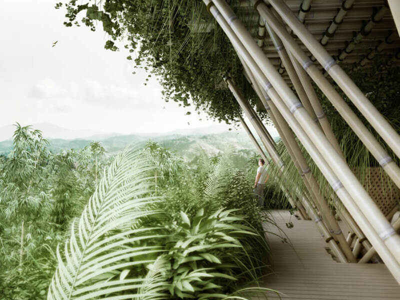 Bamboo Cities